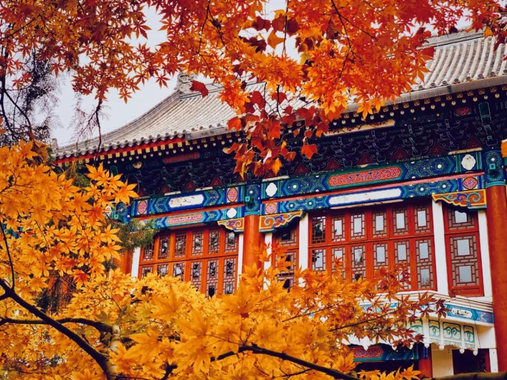 中国最美的六所大学