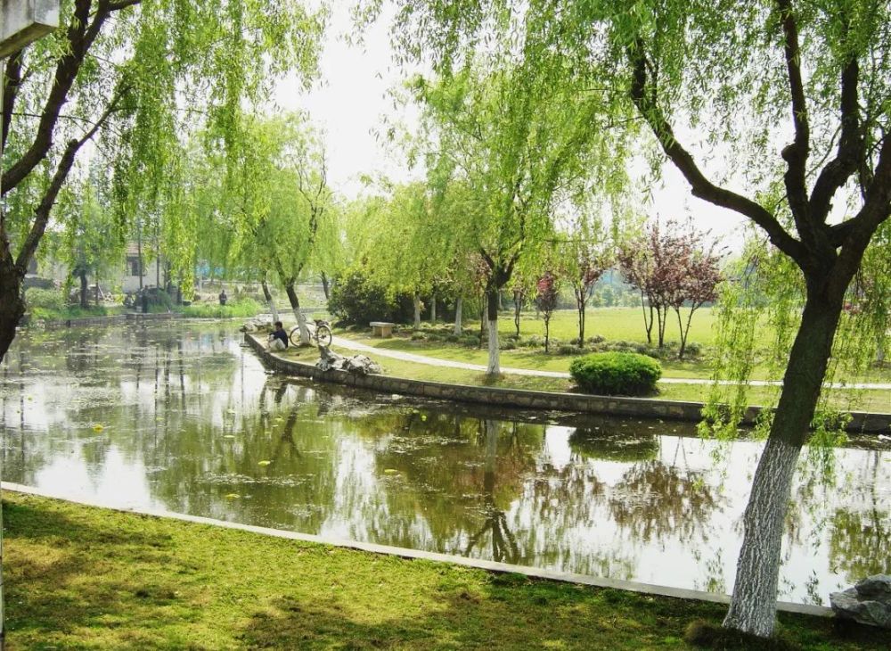 陈行公园:融自然风景于人工造景