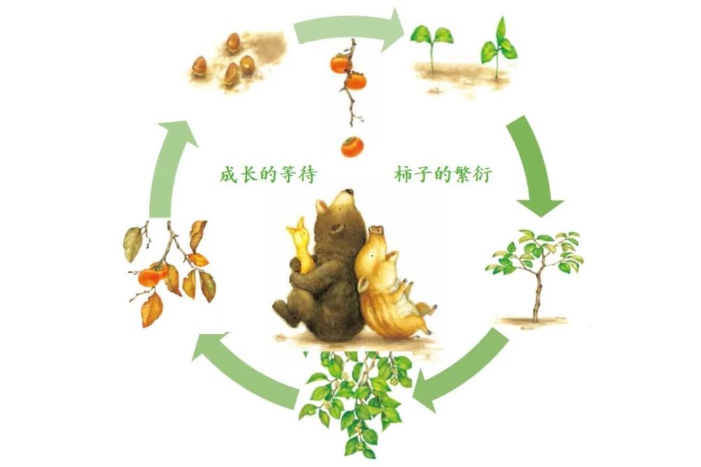 中文绘本babyall数科学互动机关书