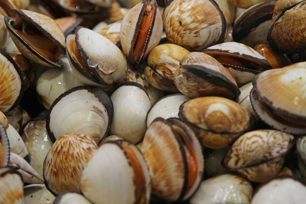 才知道,这5种食物虽然不咸,却加了很多盐!吃错了小心"致病"