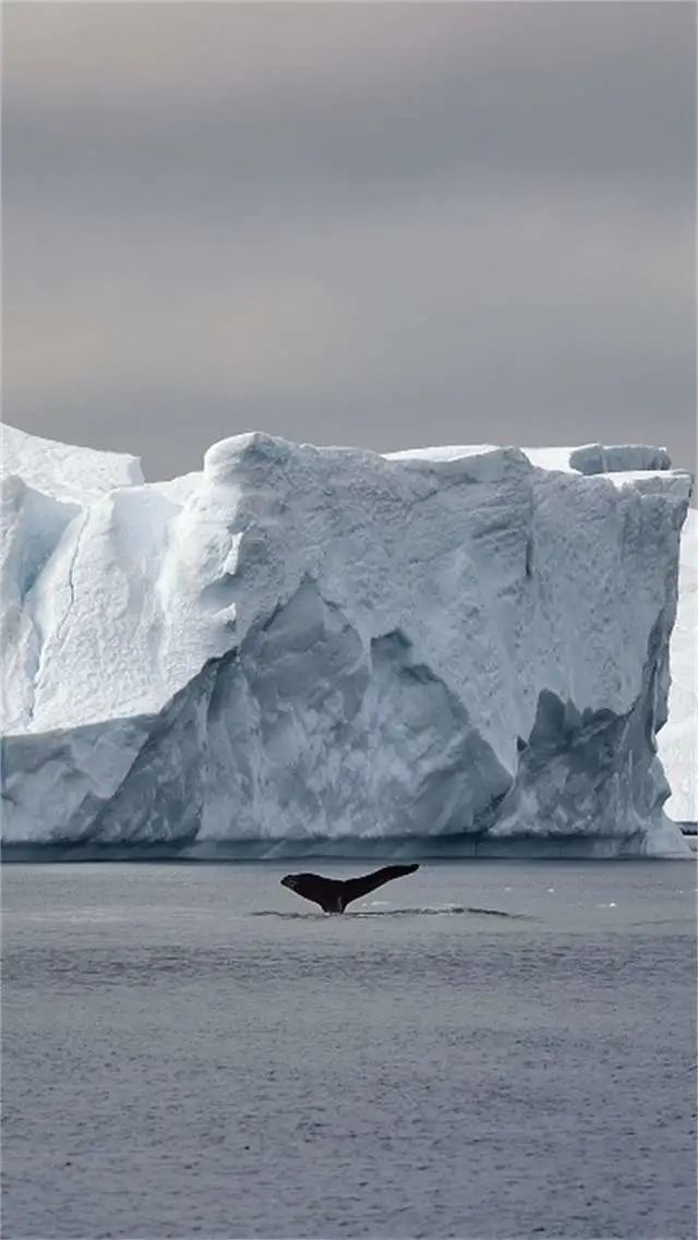 格陵兰冰川融化加速