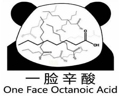 喜欢某个专业,不假思索便做出了选择,直到多年后,一脸辛酸说着后悔