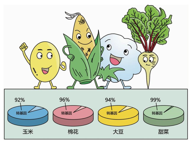 美國市場上70%左右的加工食品都含有轉基因成分.