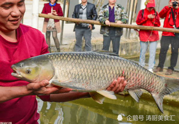 浦北家庭午餐爱吃鱼,浦北东北部的山区腹地有一个镇子叫"官垌镇",这里