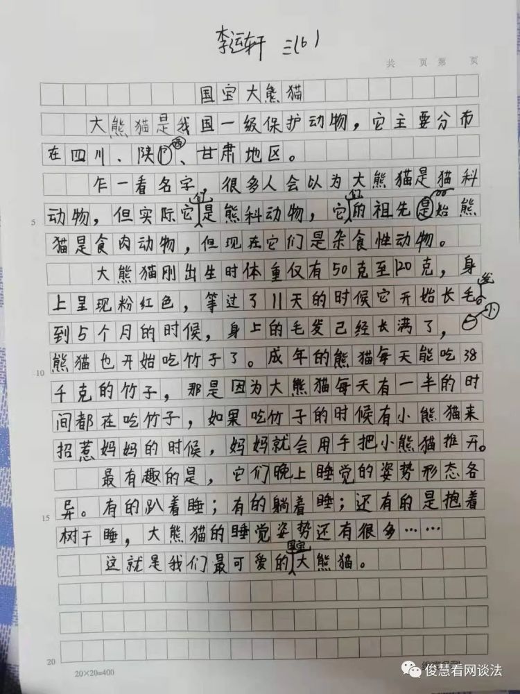 小學生習作國寶大熊貓動物篇