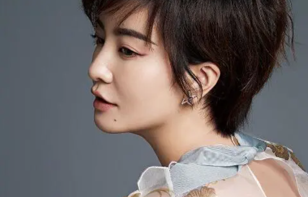 李晟脸型偏短,下颌角偏方,鼻头圆润,这导致她的长相钝感很强,气质偏