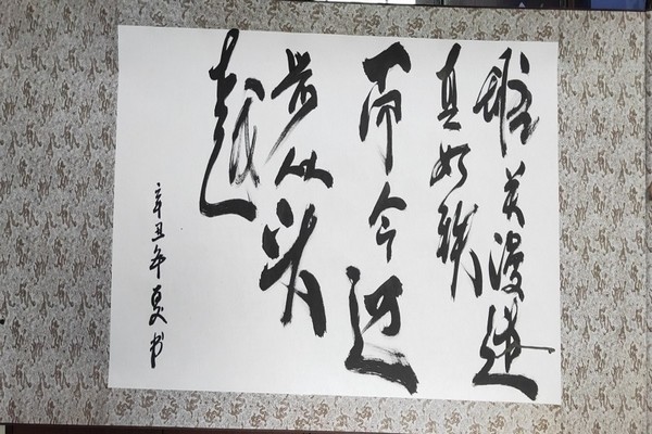 紫云自治县消防救援大队开展学百年党史展蓝焰风采主题党日活动