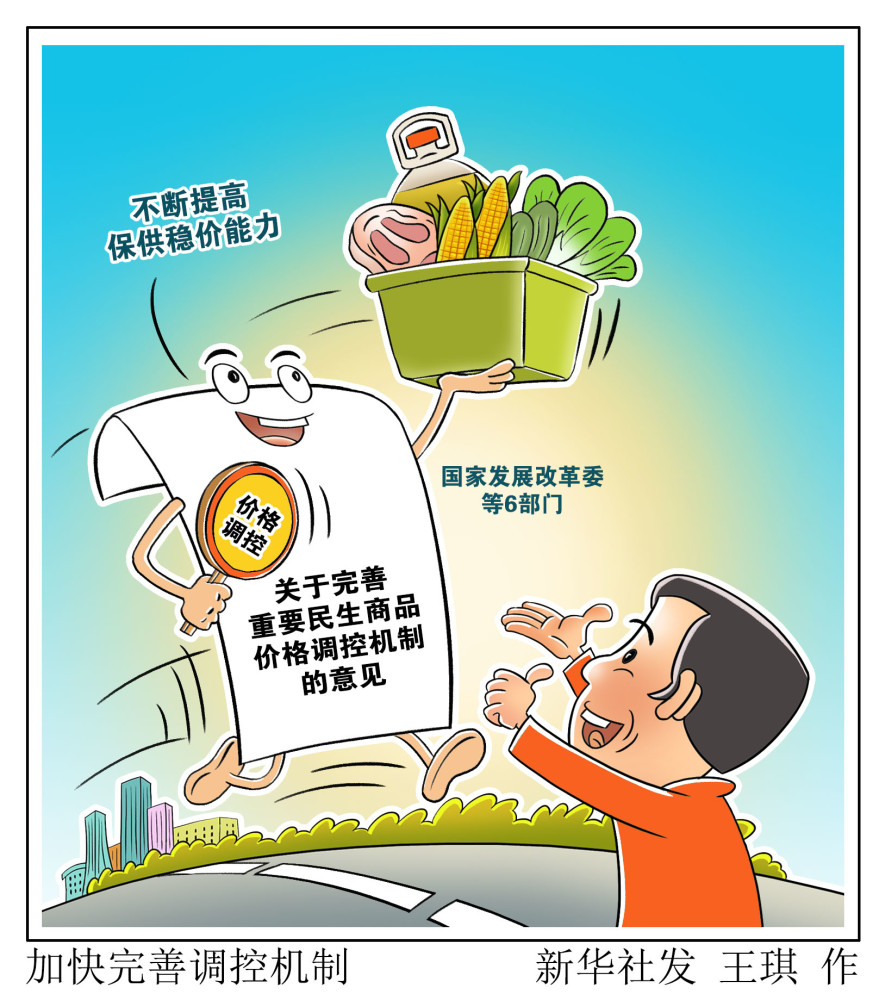 (图表·漫画)【经济】加快完善调控机制