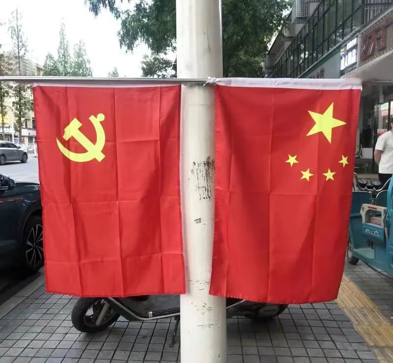 党旗的图片背面图片