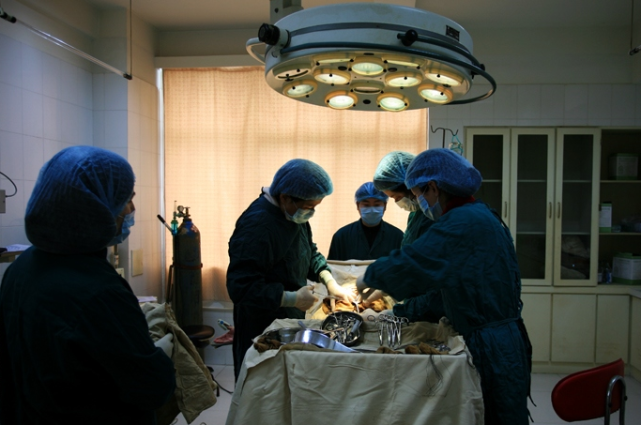 镜头下:一组照片直击试管婴儿手术全过程