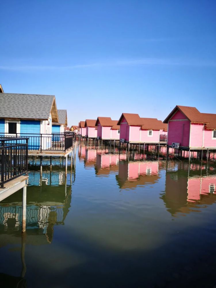 书香唐山|赵春凤:月岛风情
