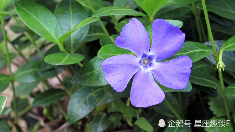 6月10日星座运势 重燃斗志 雷厉风行的四大星座 腾讯新闻