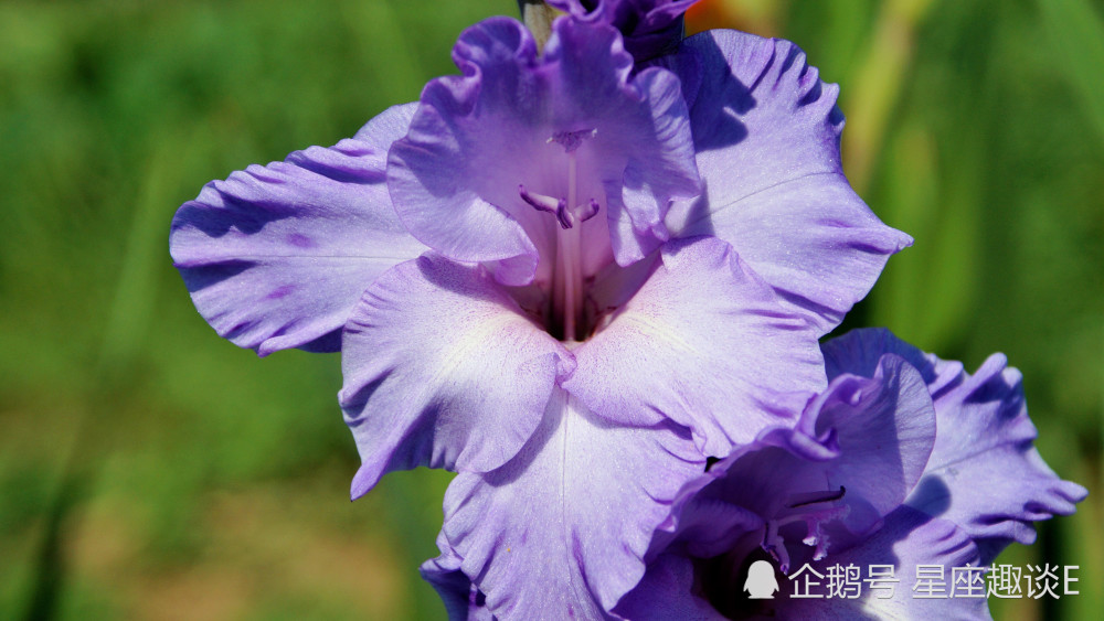 6月10日星座运势 巨蟹增强实力 天秤迎难而上 射手干劲满满 腾讯新闻