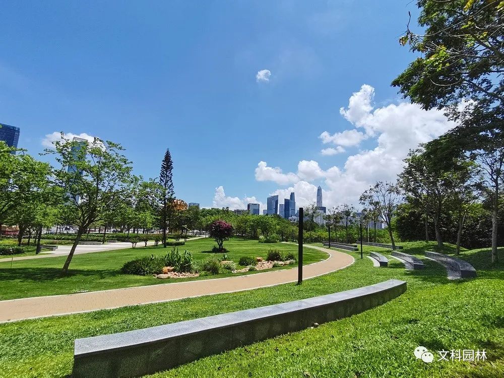 深圳市福田区万福树公园作为城市的"绿肺,城市公园为城市的发展