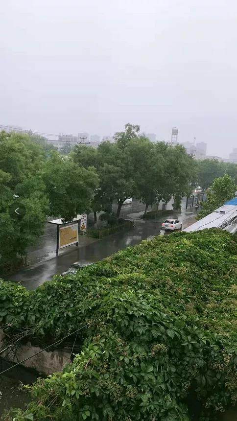 保定天氣夜間降雨繼續何時停止