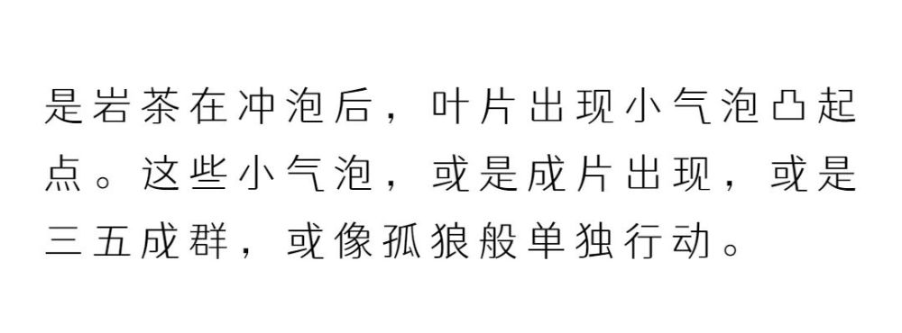 茶友必讀這30句茶圈行話不懂都不敢說自己是茶道中人