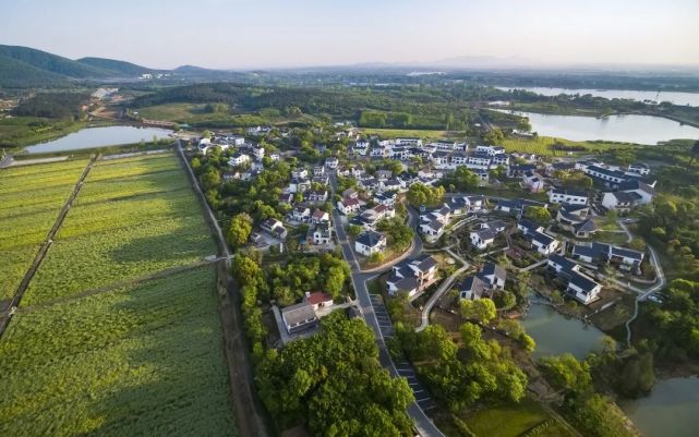 徐州市沛县大屯街道安庄村无锡市江阴市顾山镇红豆村南京市江宁区湖熟