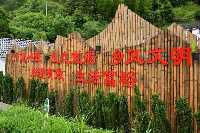 【乡村振兴之黄山探索(55)】"四色"碣石,五彩乡村_腾讯新闻
