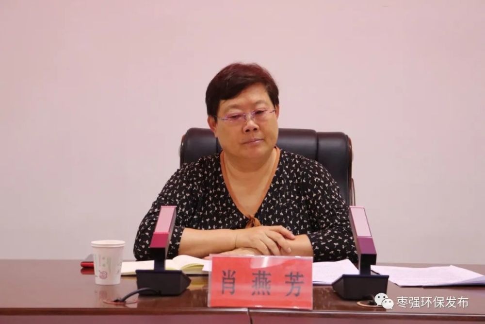 刘泽伟汇报了枣强县关于省第五专员办对衡水市扬尘治理专项督导帮扶