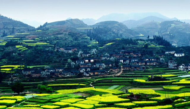 黄埔军校第四期中的麻阳人