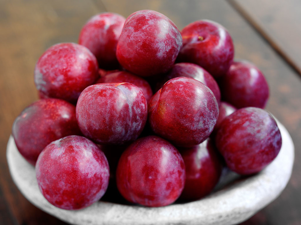 老人常说"桃养人,杏伤人,李子树下埋死人"指的究竟是啥意思?