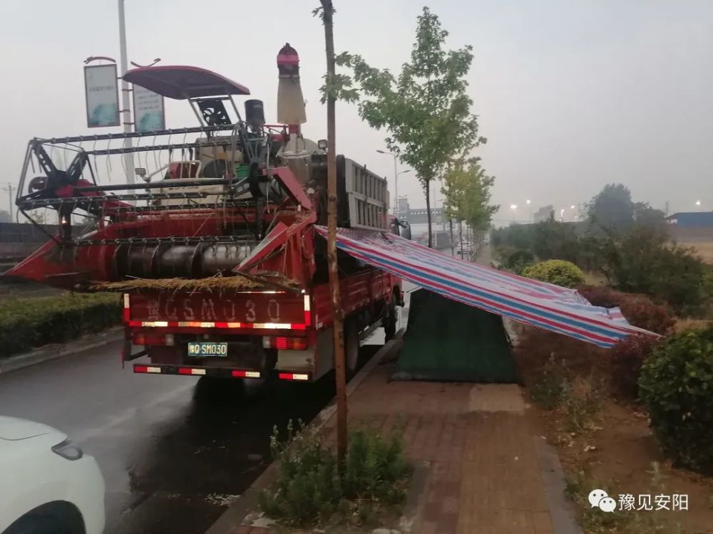 风雨中远行的麦客 腾讯新闻