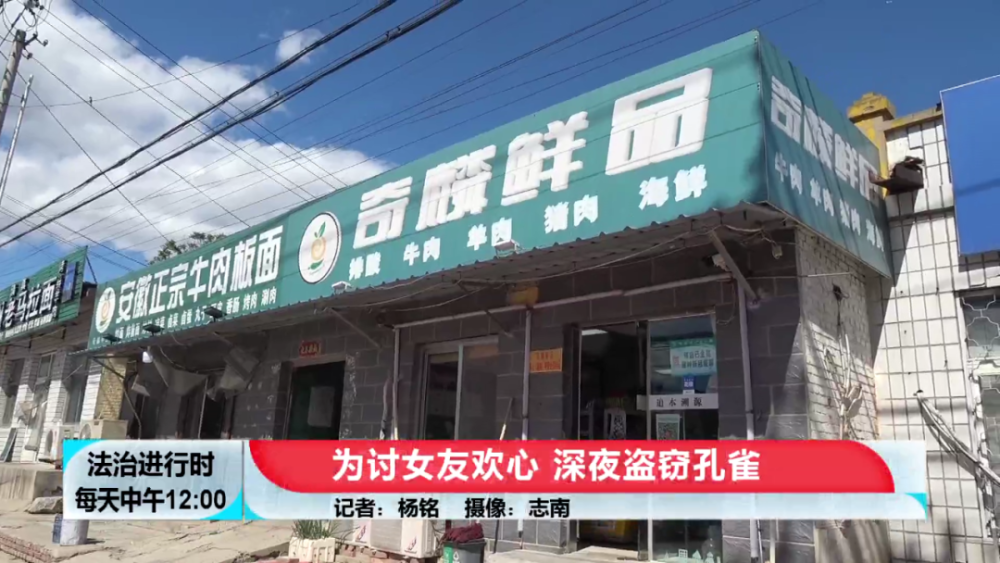男子為討女友歡心，半夜去偷孔雀 栽了！