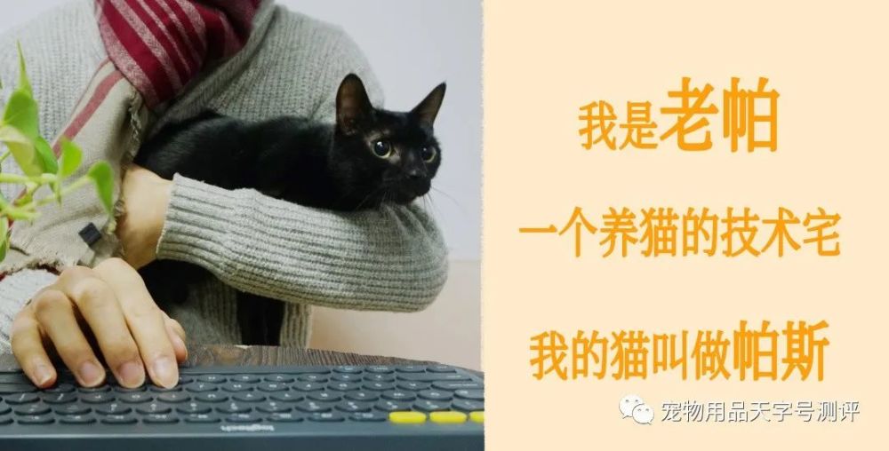 转载 月销过千的 纯素猫粮 猫咪能吃吗 腾讯新闻