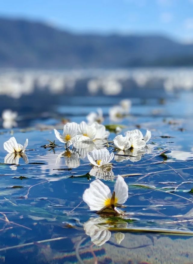 这个"水性杨花"的地方,又美又好吃