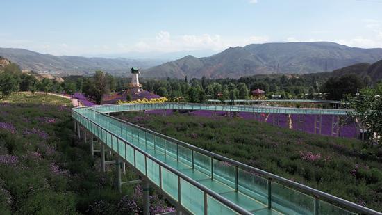 全新打造的青海乐都卯寨景区.乐都县委宣传部供图