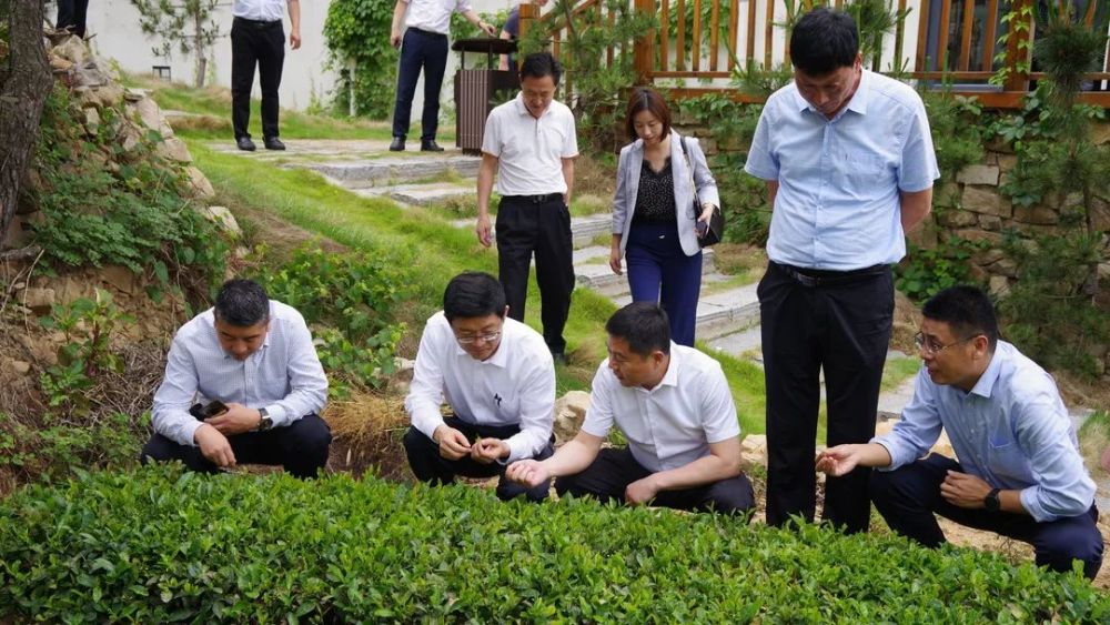 格美董事长_格美集团:格物致知诚意正心