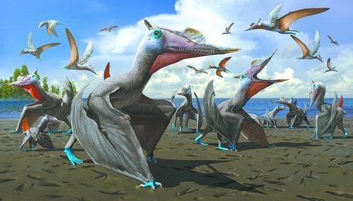 新疆发现湖翼龙群居足迹化石