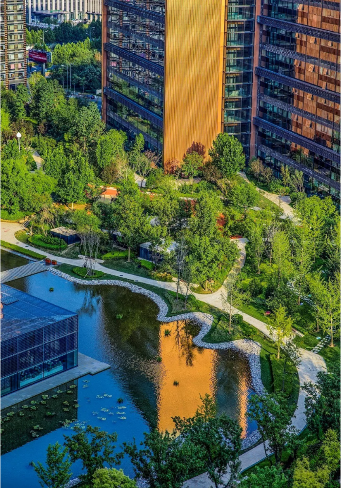 "加冠之年"的国锐地产,有哪些不一样?