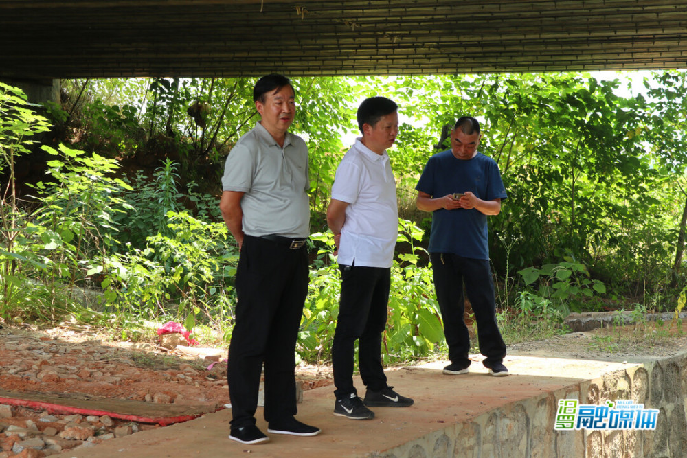 陈培宏带队巡查桃林河