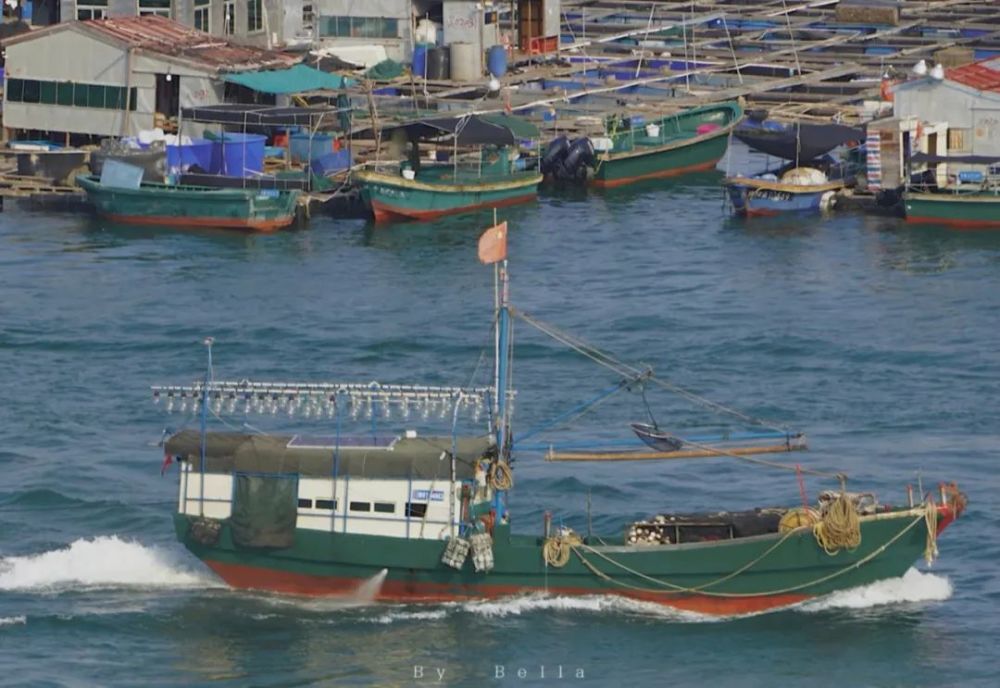 海南oneday走进海上村落探访神秘的疍家文化