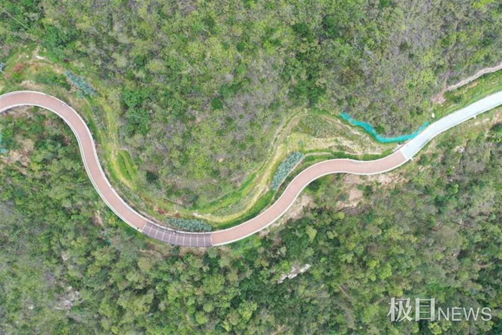 板樟山步道图片