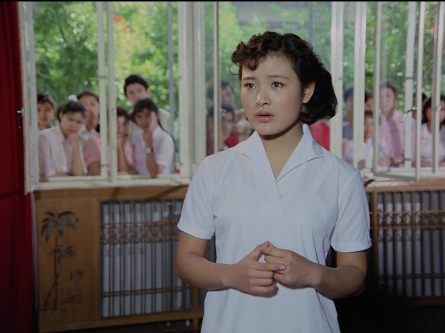 红色经典海外赤子一曲唱尽万千华侨赤子之心
