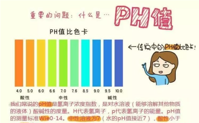 也就是说,医生建议碱化尿液的基础是高尿酸血症及痛风患者的尿液ph值