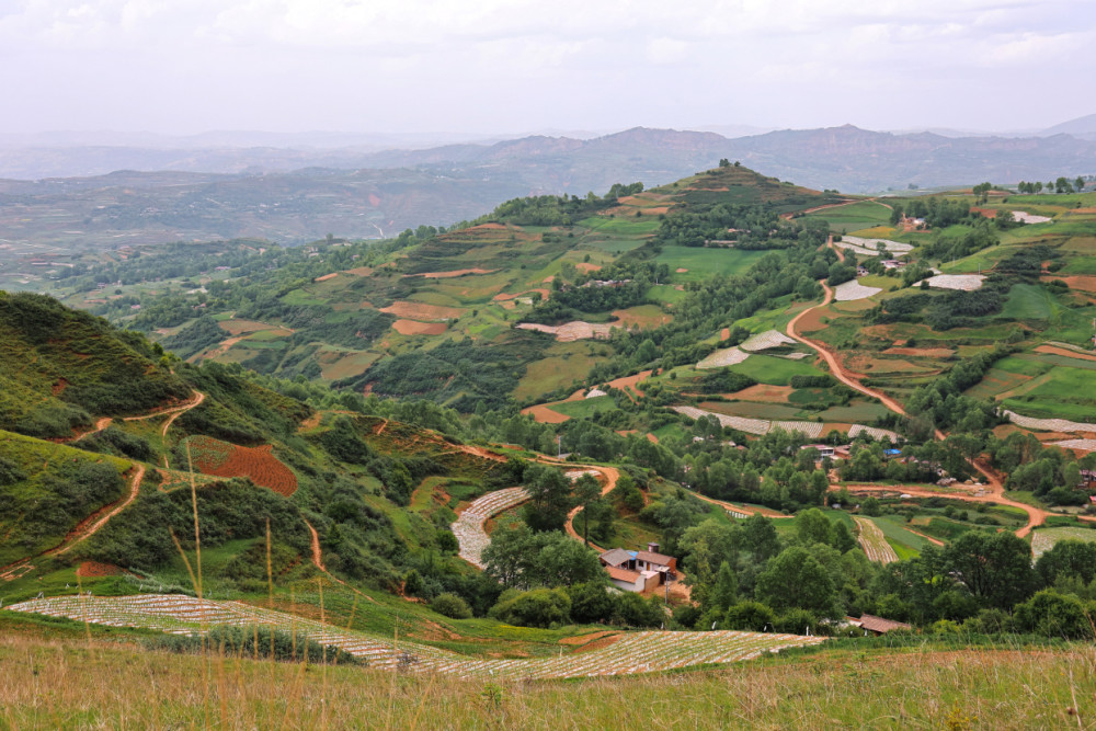 甘肃这座冷门城市,把土豆玩出了花样,全国李氏的发源地