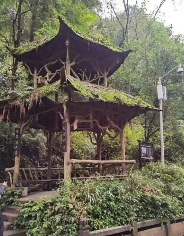 藏在昆明东郊的一处闲暇之地|金殿国家森林公园|昆明