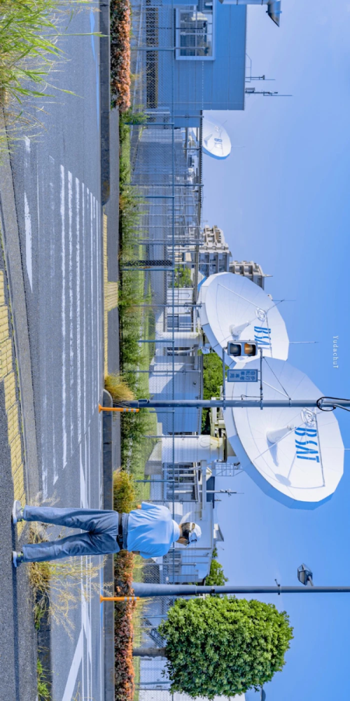 夏日手机壁纸 可研 腾讯新闻