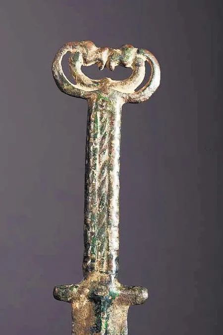 战国对鸟首绳纹铜剑