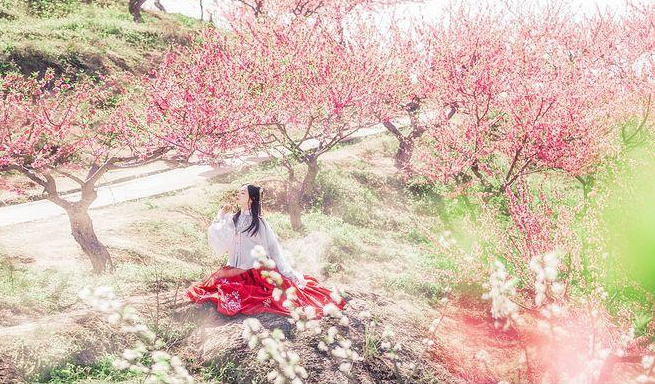 真實的唐伯虎沒點過秋香晚年和一官妓隱居於桃花塢