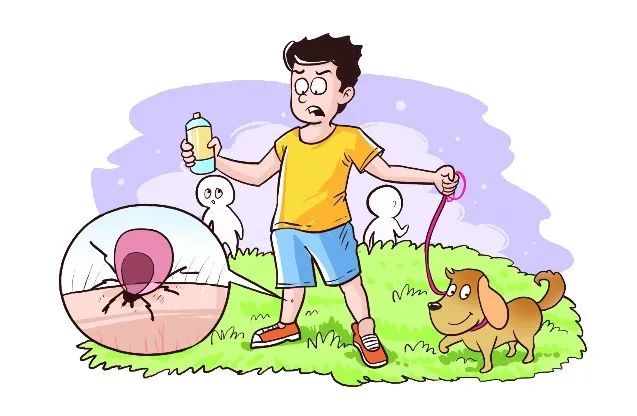 做好个人防护,谨防"蜱虫病" ——注意,蜱虫伤人进入高发季!