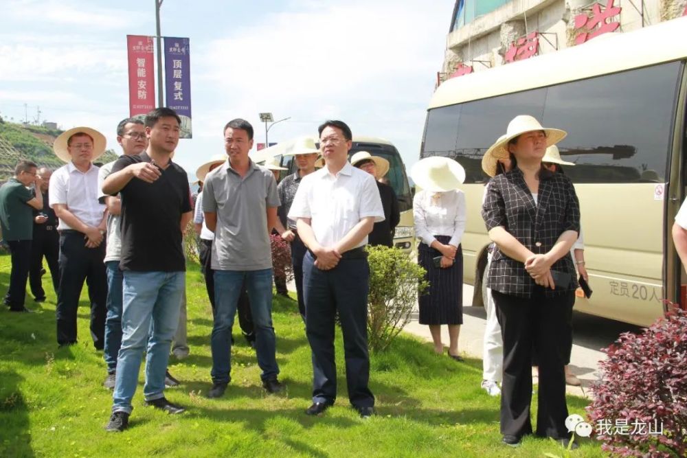 当前重点工作,龙山这样推进