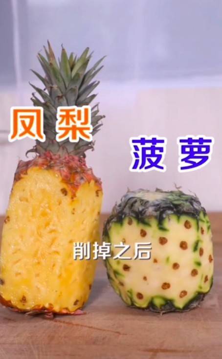 凤梨与菠萝的区别(凤梨与菠萝的区别在哪图片)
