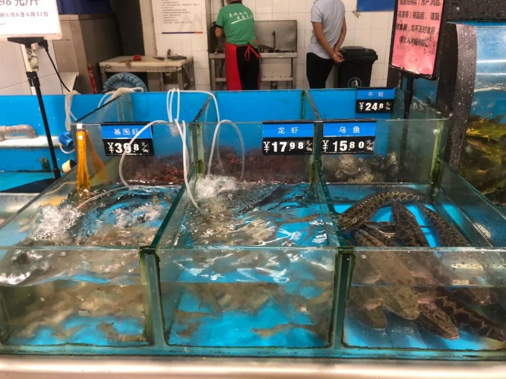 快来看看大市场鱼贩怎么说?