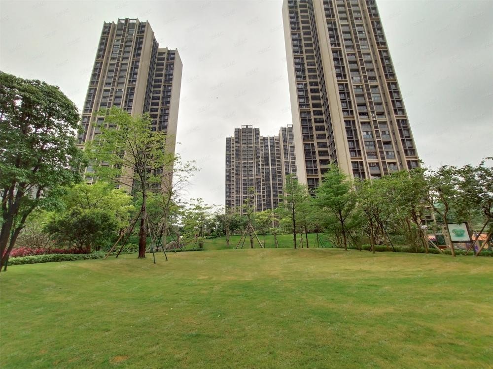 4万房卖2.8万,小区业主被邻居集体举报:他偷税漏税扰乱市场