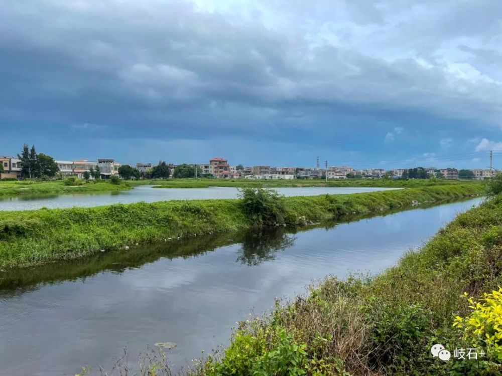 岐石池塘水满景色怡人