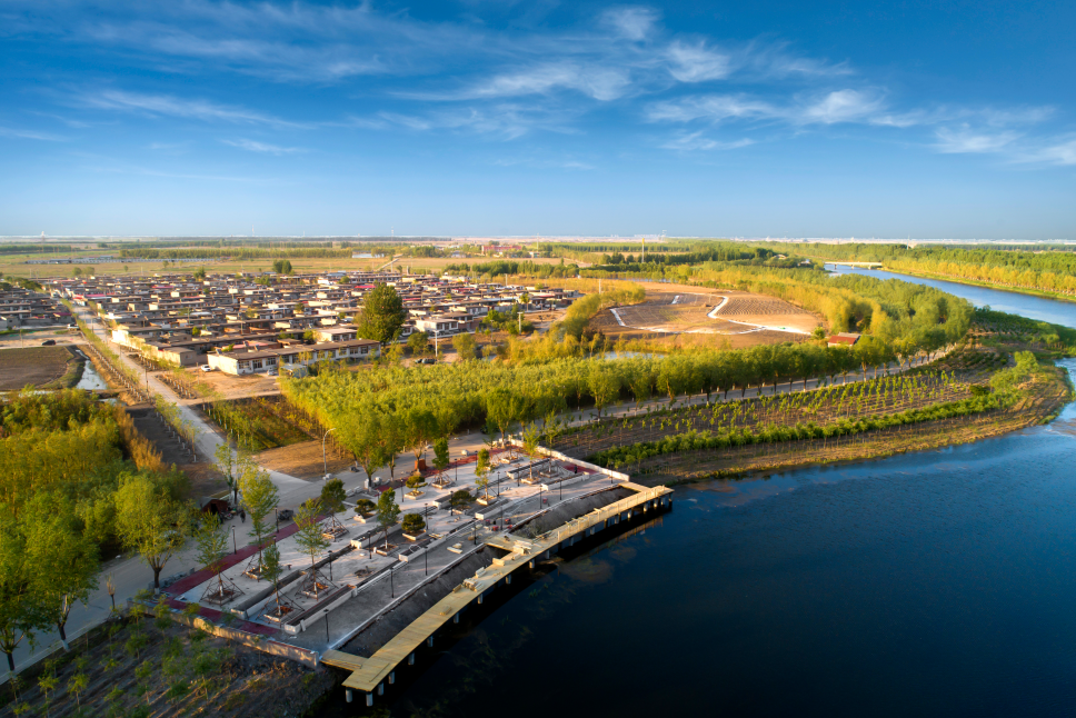 【乡村振兴】丰南区王打刁村:药田花海运河情 美丽乡村入画来